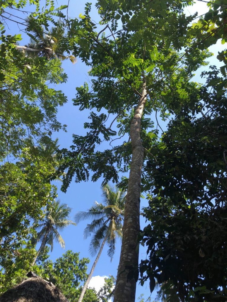 File_000 (10)